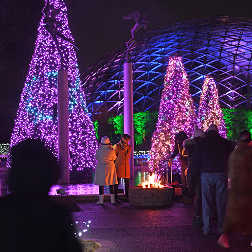 Group huddled around firepit, surrounded by colorful lights